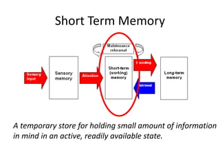 Short Term Memory
A temporary store for holding small amount of information
in mind in an active, readily available state.
 