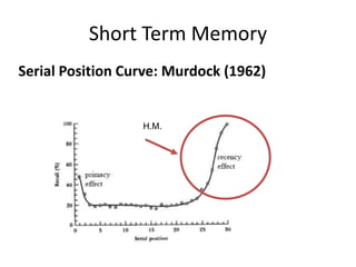 Short Term Memory
Serial Position Curve: Murdock (1962)
H.M.
 