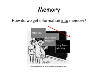 Memory
How do we get information into memory?
 