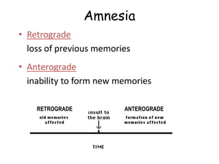 Amnesia
• Retrograde
loss of previous memories
• Anterograde
inability to form new memories
ANTEROGRADE
RETROGRADE
 