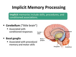 ▪ Cerebellum (“little brain”)
▪ Associated with
conditioned responses
▪ Basal ganglia
▪ Associated with procedural
memory and motor skills
Implicit Memory Processing
Implicit memories include skills, procedures, and
conditioned associations.
 