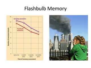 Flashbulb Memory
 