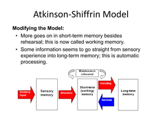 Atkinson-Shiffrin Model
Modifying the Model:
• More goes on in short-term memory besides
rehearsal; this is now called working memory.
• Some information seems to go straight from sensory
experience into long-term memory; this is automatic
processing.
 