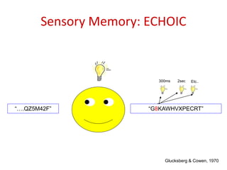 Glucksberg & Cowen, 1970
“G8KAWHVXPECRT”
“….QZ5M42F”
2sec
300ms Etc..
Sensory Memory: ECHOIC
 