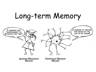 Long-term Memory
 