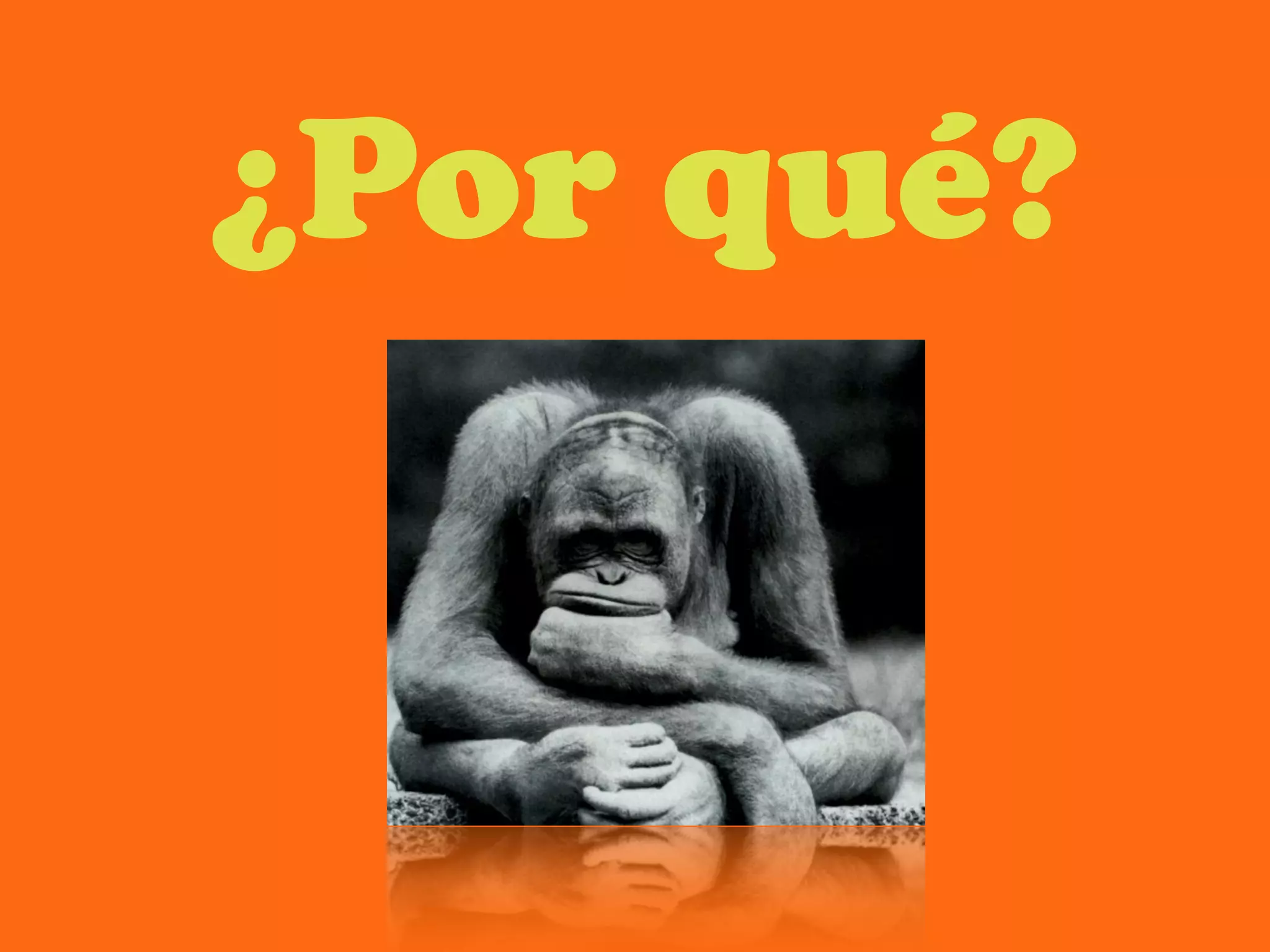 ¿Por qué?
 