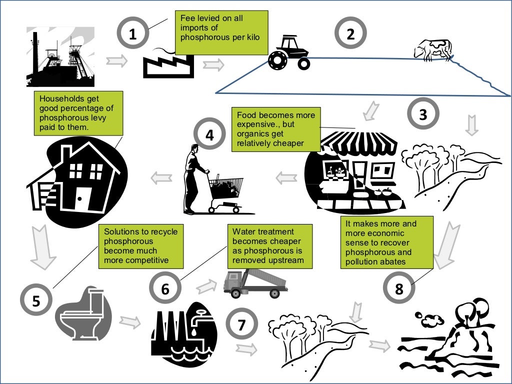 Flexible emission fees in practice