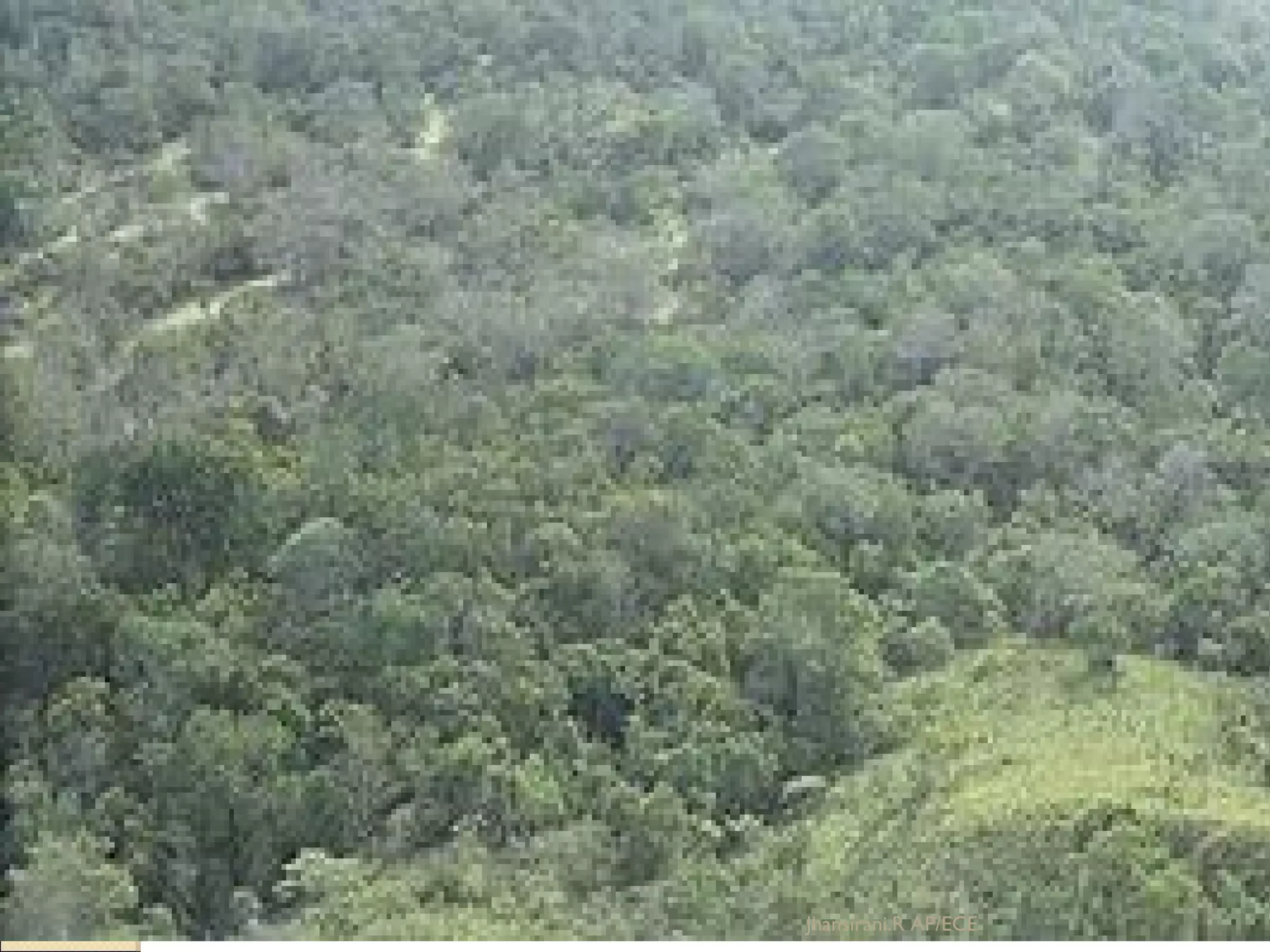 Natural environment
Natural environment is characterized by
natural components. All biotic (living) and
abiotic components (non living) are created
through natural process.
Eg: soil, water, air, trees, radiations, etc.,
Jhansirani.R AP/ECE
 