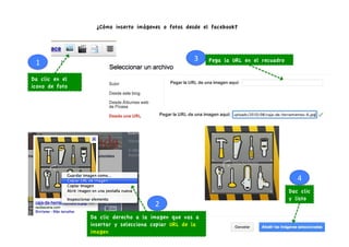 ¿Cómo inserto imágenes o fotos desde el facebook?




                                                    3	
     Pega la URL en el recuadro
 1	
  
Da clic en el
icono de foto




                                                                                            4	
  
                                                                                         Dac clic
                                                                                         y listo
                                      2	
  
                Da clic derecho a la imagen que vas a
                insertar y selecciona copiar URL de la
                                                                                                    15	
  
                imagen
 