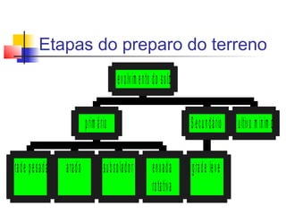 Etapas do preparo do terreno 
grad e pe sa d a a ra d o sub so lad o r en xad a 
ro tativ a 
p rim á rio 
S e cu n dá rio C u ltivo m in im o 
grad e lev e 
R evolv im e nto d o solo 
 