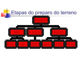 Etapas do preparo do terreno 
M a n u a l 
M a c h a d o fa c ã o 
D e s m a ta m e n to 
S e m i-m e c a n iz a d o 
M o to s s e rra s 
M e c a n iz a d o 
L a m in a s C o rre n tã o R o lo fa c a 
 