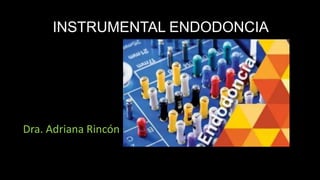 INSTRUMENTAL ENDODONCIA
Dra. Adriana Rincón
 