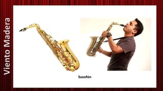 Saxofón
VientoMadera
 