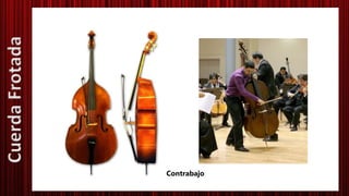 Contrabajo
CuerdaFrotada
 
