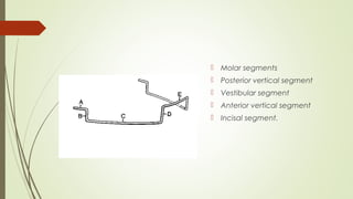 Molar segments
 Posterior vertical segment
 Vestibular segment
 Anterior vertical segment
 Incisal segment.
 