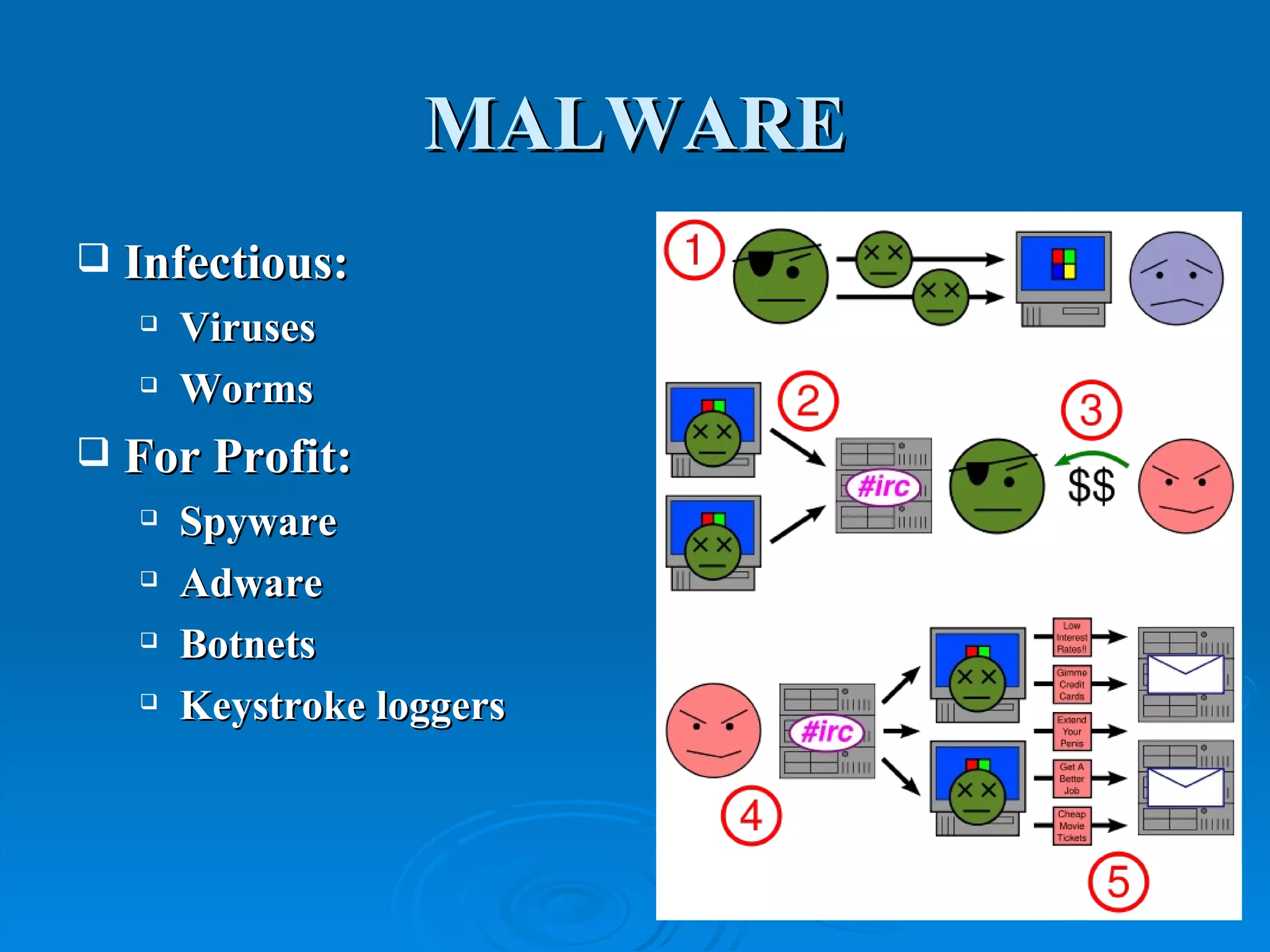 MALWARE Infectious: Viruses Worms For Profit: Spyware Adware Botnets Keystroke loggers 