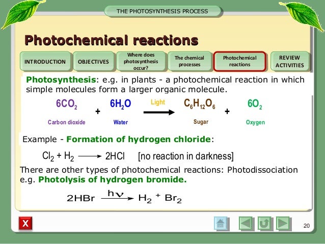 Photosynthesis converts solar energy into Photosynthesis converts solar energy into