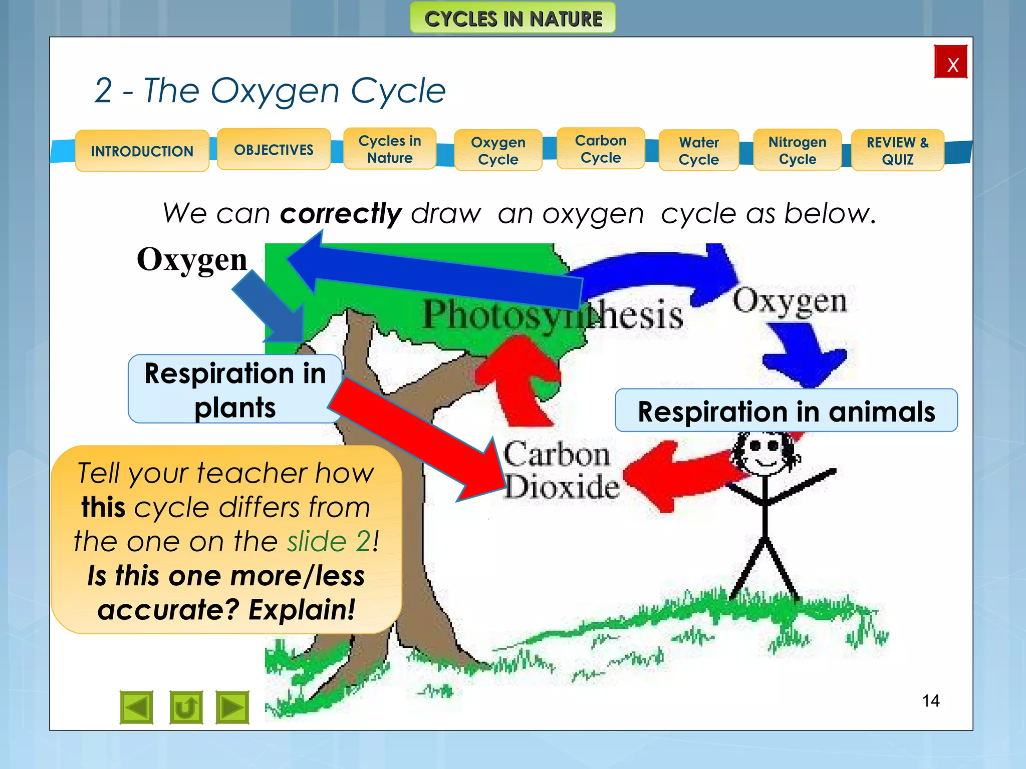 OBJECTIVES
Oxygen
Cycle
Carbon
Cycle
Water
Cycle
Nitrogen
Cycle
REVIEW &
QUIZ
INTRODUCTION
x
CYCLES IN NATURECYCLES IN NATURE
Cycles in
Nature
2 - The Oxygen Cycle
14
We can correctly draw an oxygen cycle as below.
Oxygen
Respiration in animals
Respiration in
plants
Tell your teacher how
this cycle differs from
the one on the slide 2!
Is this one more/less
accurate? Explain!
 