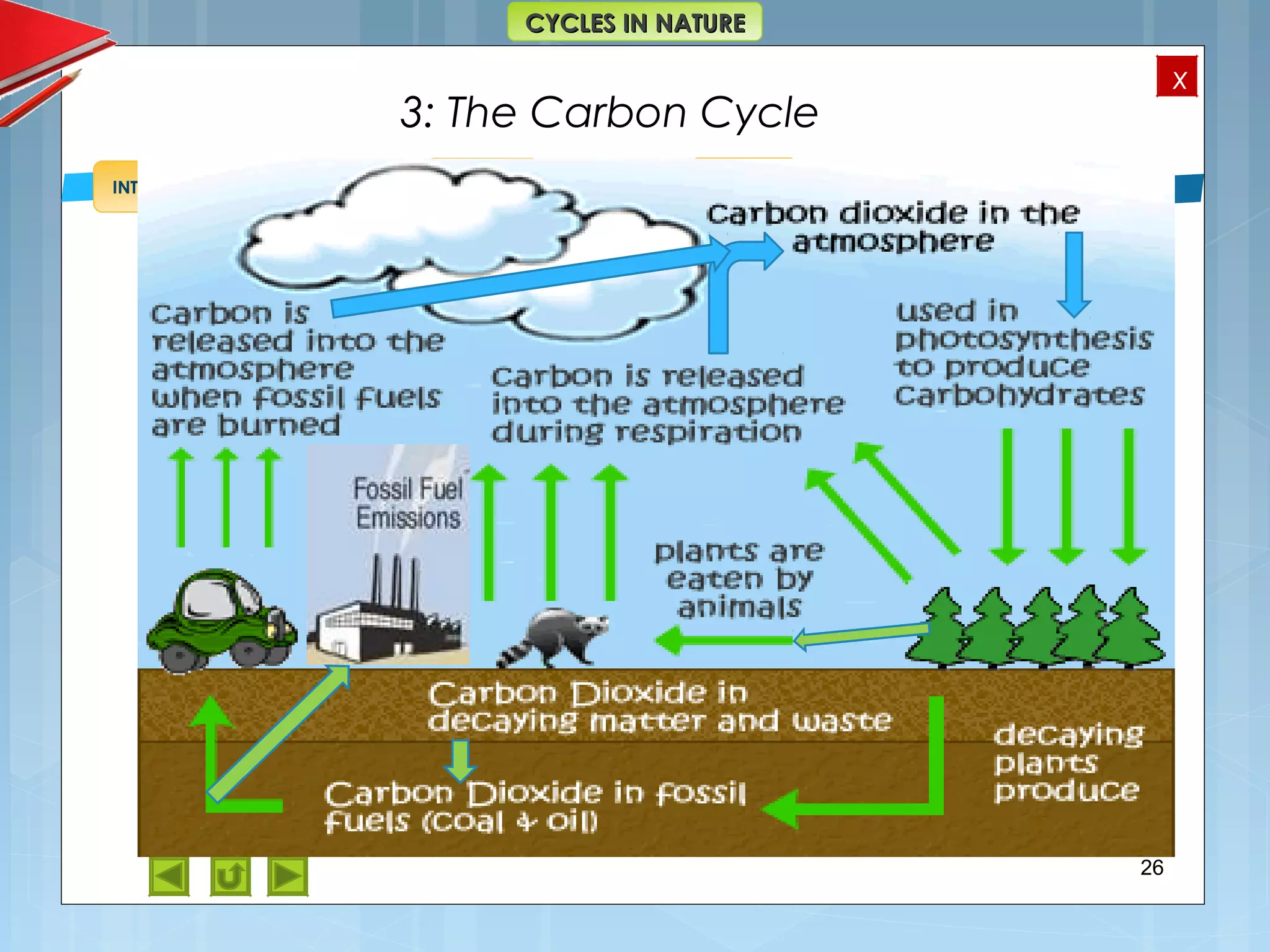 OBJECTIVES
Oxygen
Cycle
Carbon
Cycle
Water
Cycle
Nitrogen
Cycle
REVIEW &
QUIZ
INTRODUCTION
x
CYCLES IN NATURECYCLES IN NATURE
Cycles in
Nature
3: The Carbon Cycle
26
 
