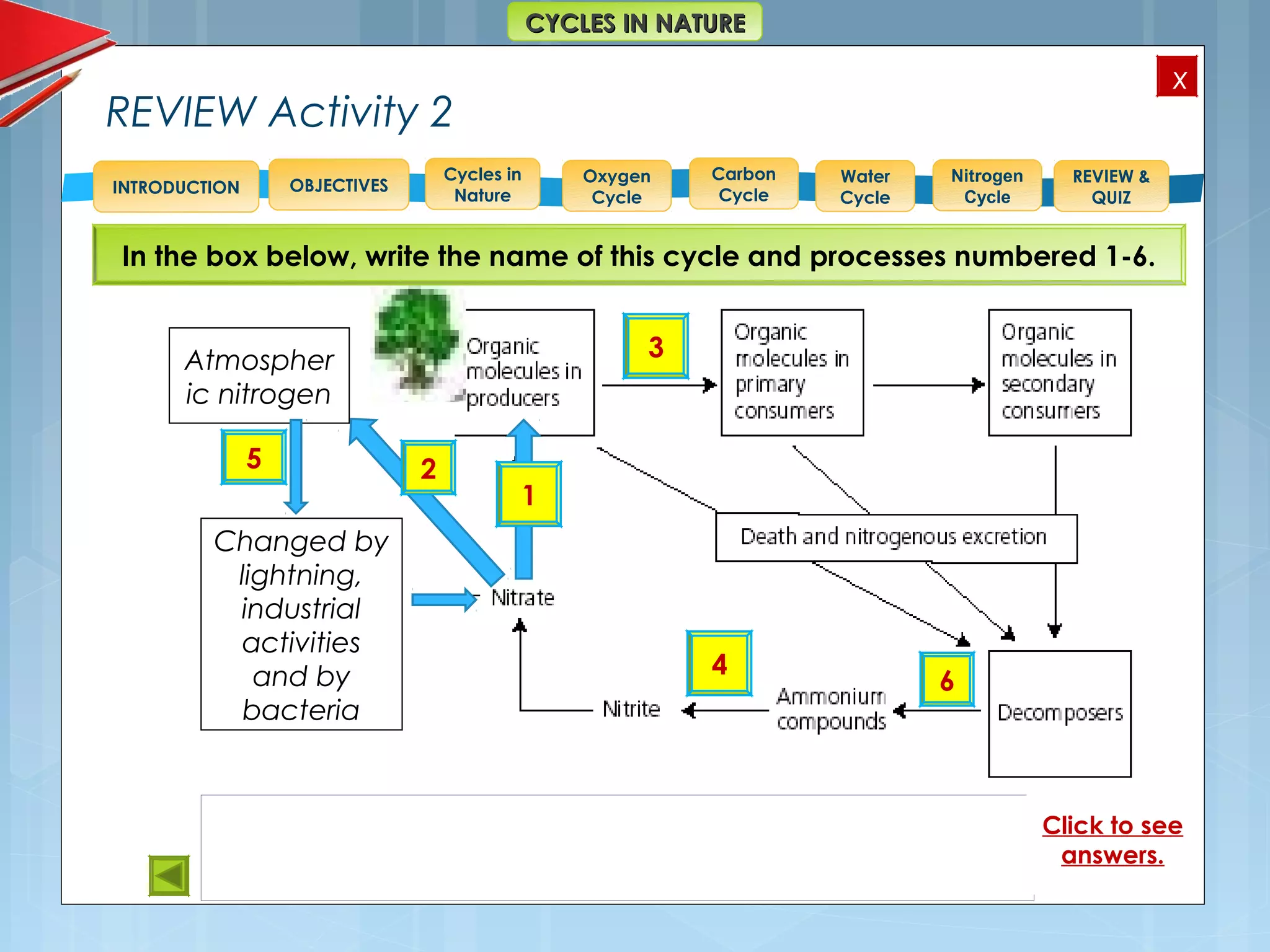 OBJECTIVES
Oxygen
Cycle
Carbon
Cycle
Water
Cycle
Nitrogen
Cycle
REVIEW &
QUIZ
INTRODUCTION
x
CYCLES IN NATURECYCLES IN NATURE
Cycles in
Nature
REVIEW Activity 2
Changed by
lightning,
industrial
activities
and by
bacteria
Atmospher
ic nitrogen
In the box below, write the name of this cycle and processes numbered 1-6.
3
6
5
4
1
2
Click to see
answers.
 