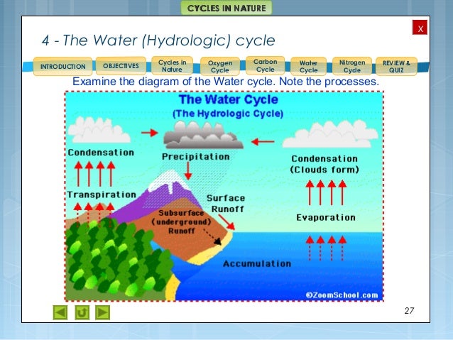 Integrated Science M4 Cycles In Nature
