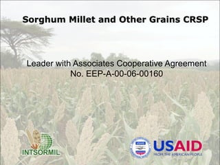 Sorghum Millet and Other Grains CRSP Leader with Associates Cooperative Agreement No. EEP-A-00-06-00160 