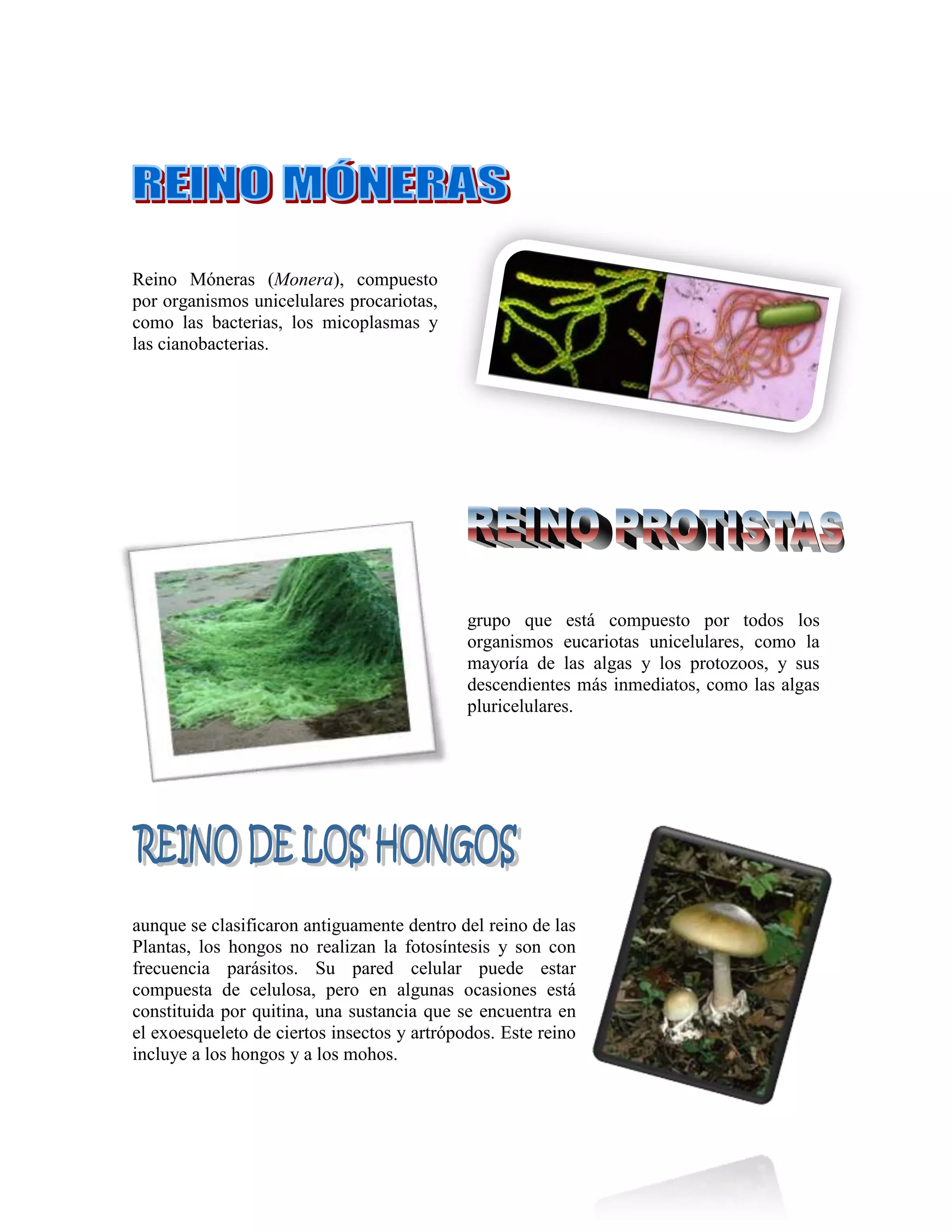 Inttroduccion a los reinos de la naturaleza | DOCX