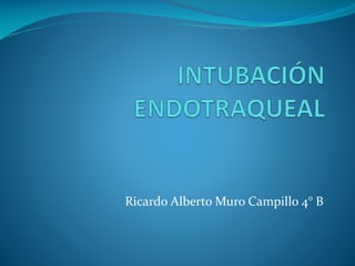Ricardo Alberto Muro Campillo 4° B

 