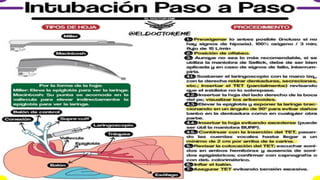 Comprehensive Guide to Endotracheal Intubation Procedures and ...