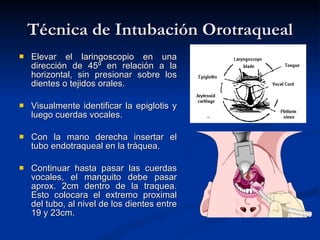 Técnica de Intubación Orotraqueal Elevar el laringoscopio en una dirección de 45º en relación a la horizontal, sin presionar sobre los dientes o tejidos orales. Visualmente identificar la epiglotis y luego cuerdas vocales. Con la mano derecha insertar el tubo endotraqueal en la tráquea. Continuar hasta pasar las cuerdas vocales, el manguito debe pasar aprox. 2cm dentro de la traquea. Esto colocara el extremo proximal del tubo, al nivel de los dientes entre 19 y 23cm. 