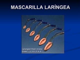 MASCARILLA LARÍNGEA 