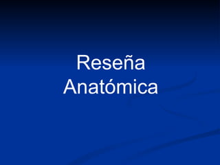 Reseña Anatómica 