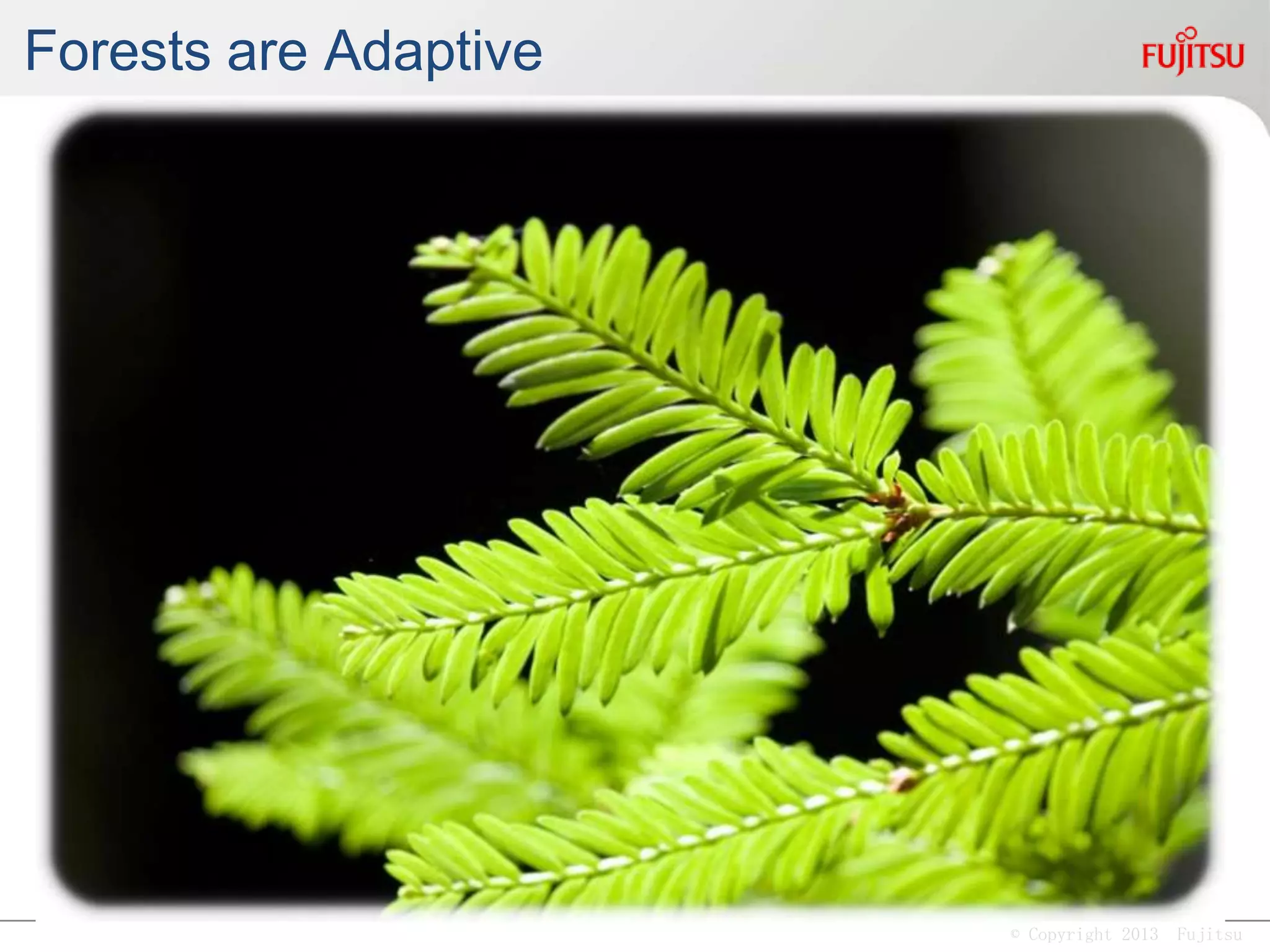 © Copyright 2013 Fujitsu
Monocultures are Fragile
 