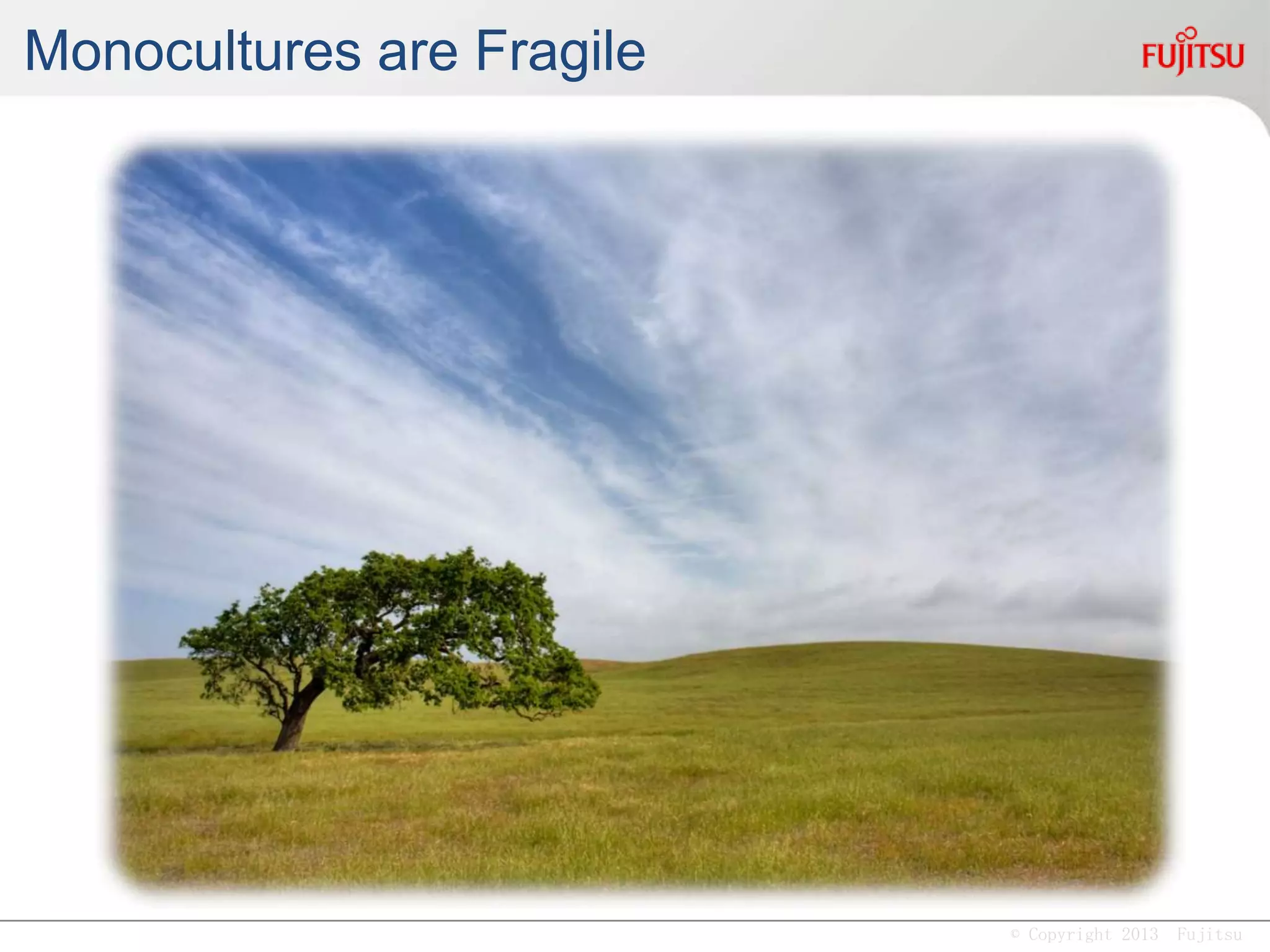 © Copyright 2013 Fujitsu
Enforcing a single best
practice on the organization,
can make it … fragile
 