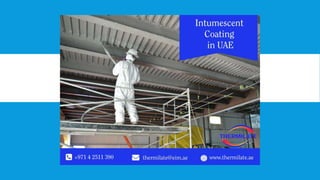 Intumescent coating in uae