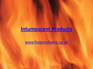 Intumescent Products www.fireproofpaint.co.uk 