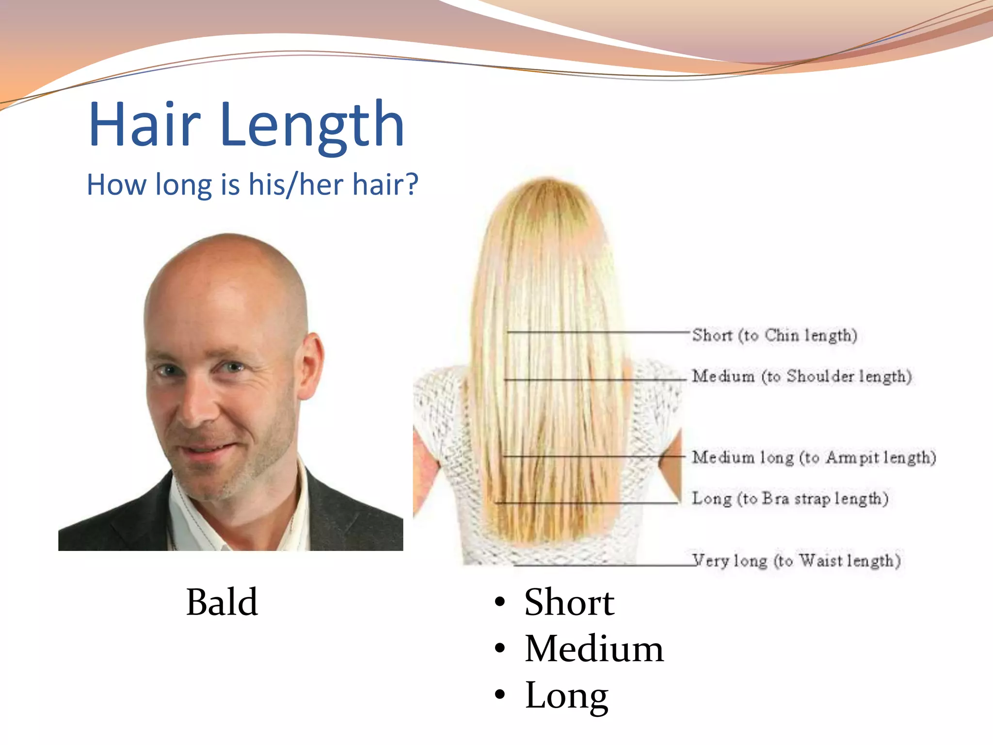 Hair Length
How long is his/her hair?
Bald • Short
• Medium
• Long
 
