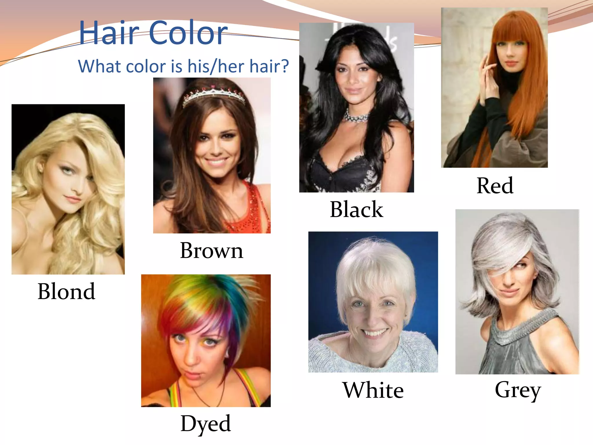 Hair Color
What color is his/her hair?
Blond
Brown
Red
Black
White Grey
Dyed
 