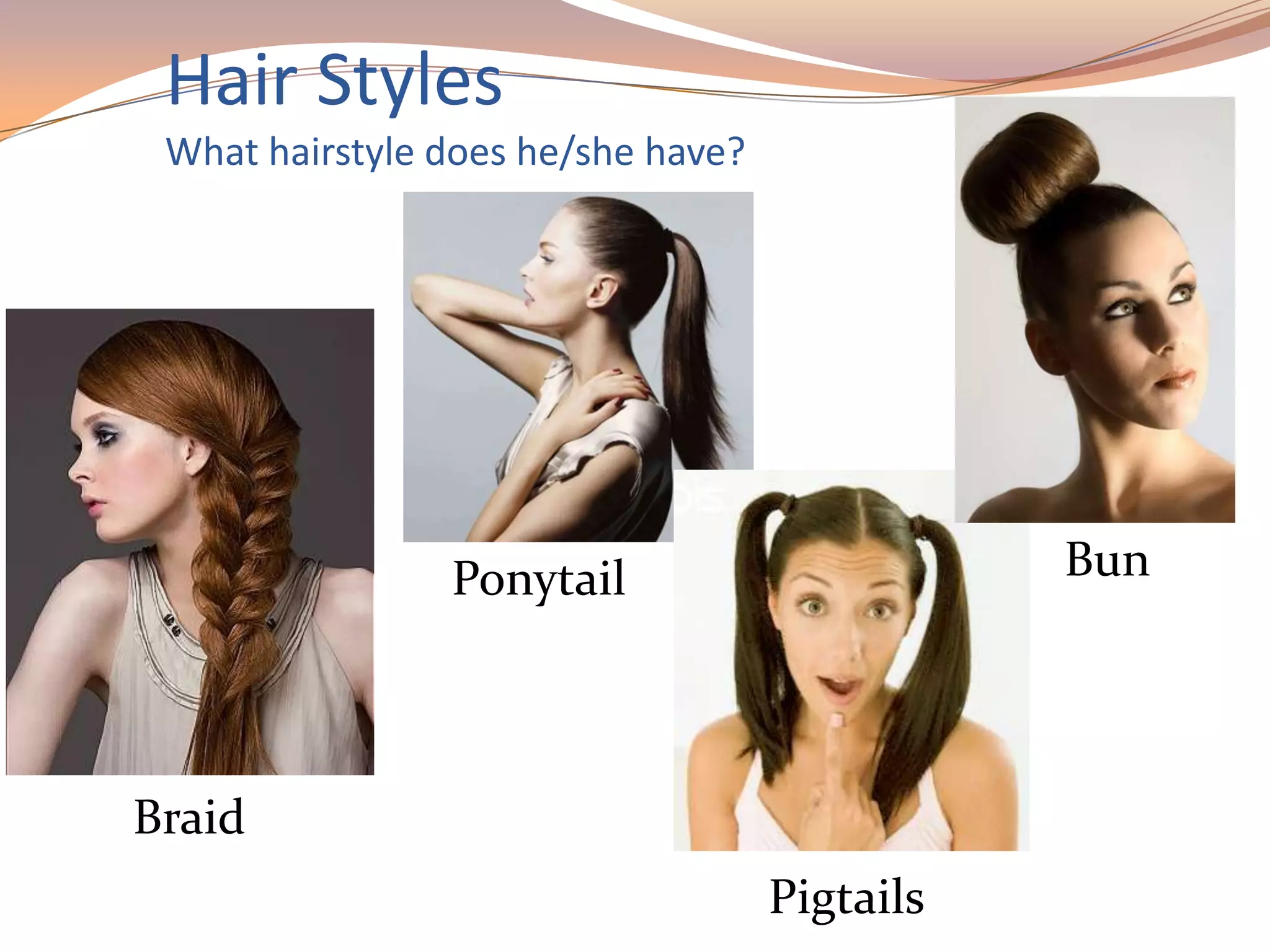 Hair Styles
What hairstyle does he/she have?
Ponytail
Pigtails
Bun
Braid
 