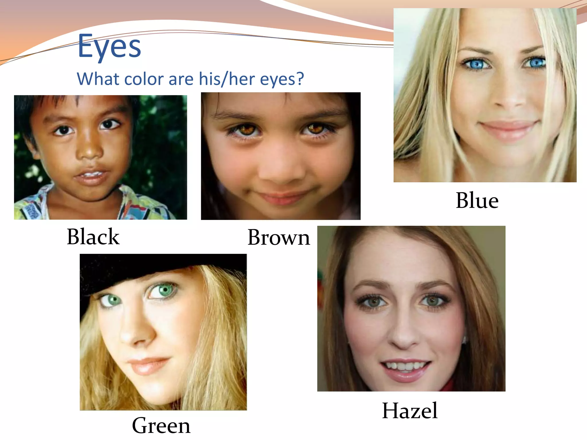 Eyes
What color are his/her eyes?
Black Brown
Green
Blue
Hazel
 