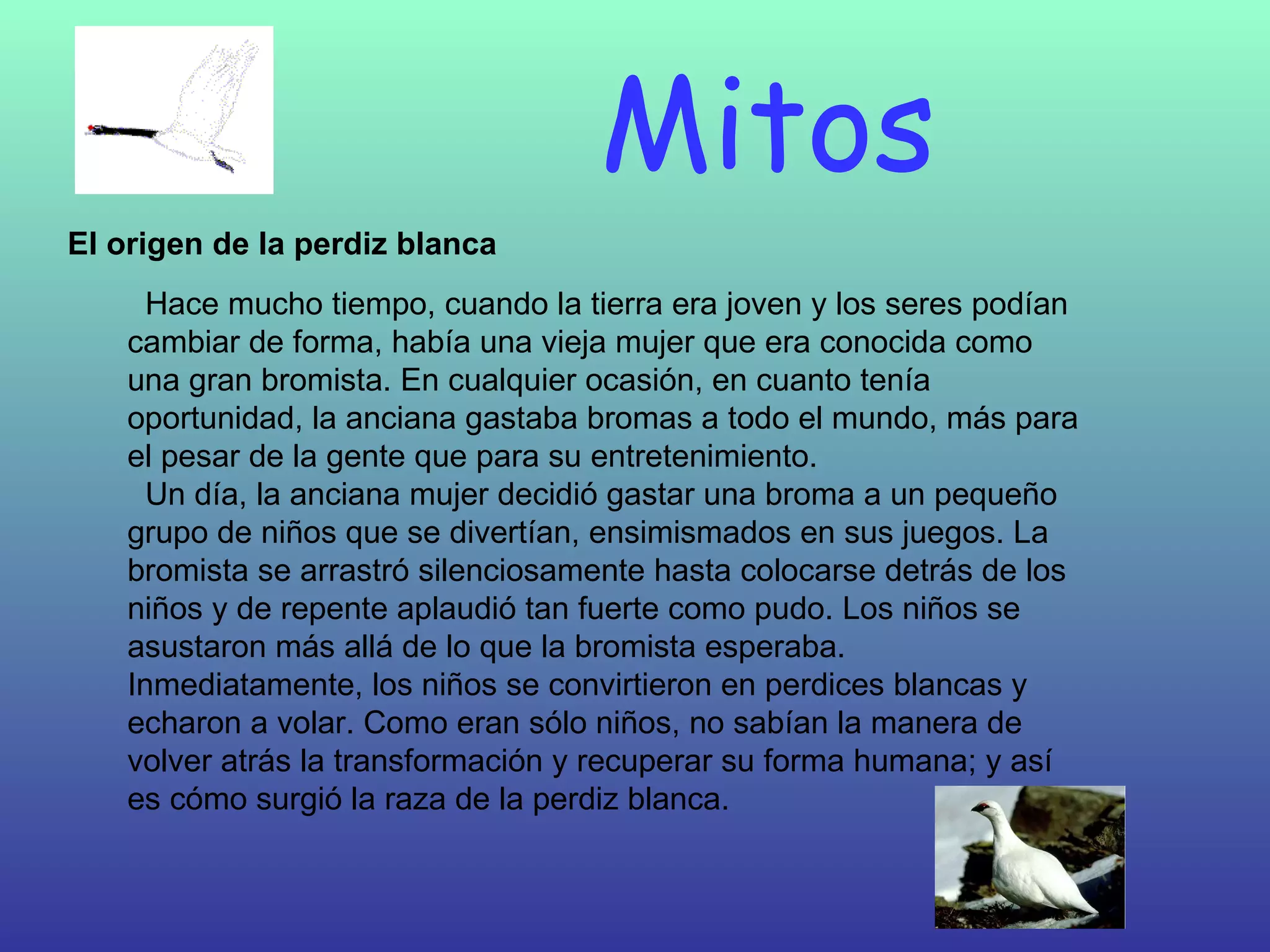 Mitos    Hace mucho tiempo, cuando la tierra era joven y los seres podían cambiar de forma, había una vieja mujer que era conocida como una gran bromista. En cualquier ocasión, en cuanto tenía oportunidad, la anciana gastaba bromas a todo el mundo, más para el pesar de la gente que para su entretenimiento.   Un día, la anciana mujer decidió gastar una broma a un pequeño grupo de niños que se divertían, ensimismados en sus juegos. La bromista se arrastró silenciosamente hasta colocarse detrás de los niños y de repente aplaudió tan fuerte como pudo. Los niños se asustaron más allá de lo que la bromista esperaba. Inmediatamente, los niños se convirtieron en perdices blancas y echaron a volar. Como eran sólo niños, no sabían la manera de volver atrás la transformación y recuperar su forma humana; y así es cómo surgió la raza de la perdiz blanca. El origen de la perdiz blanca 