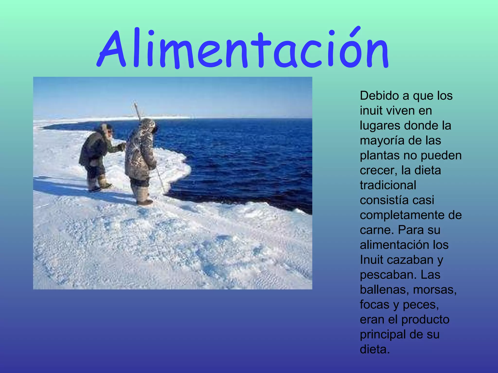 Alimentación  Debido a que los inuit viven en lugares donde la mayoría de las plantas no pueden crecer, la dieta tradicional consistía casi completamente de carne. Para su alimentación los Inuit cazaban y pescaban. Las ballenas, morsas, focas y peces, eran el producto principal de su dieta.  