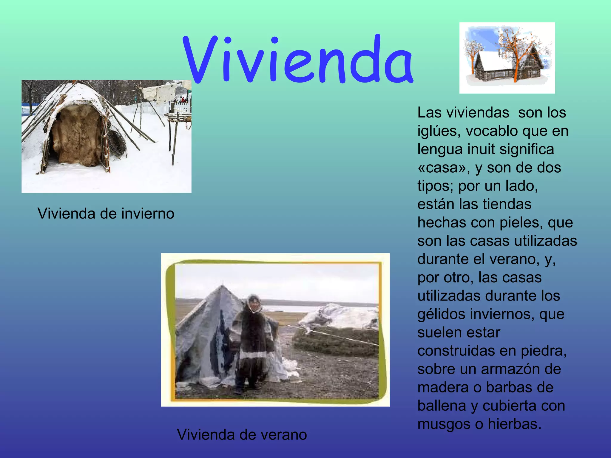 Vivienda  Las viviendas  son los iglúes, vocablo que en lengua inuit significa «casa», y son de dos tipos; por un lado, están las tiendas hechas con pieles, que son las casas utilizadas durante el verano, y, por otro, las casas utilizadas durante los gélidos inviernos, que suelen estar construidas en piedra, sobre un armazón de madera o barbas de ballena y cubierta con musgos o hierbas.  Vivienda de verano Vivienda de invierno 
