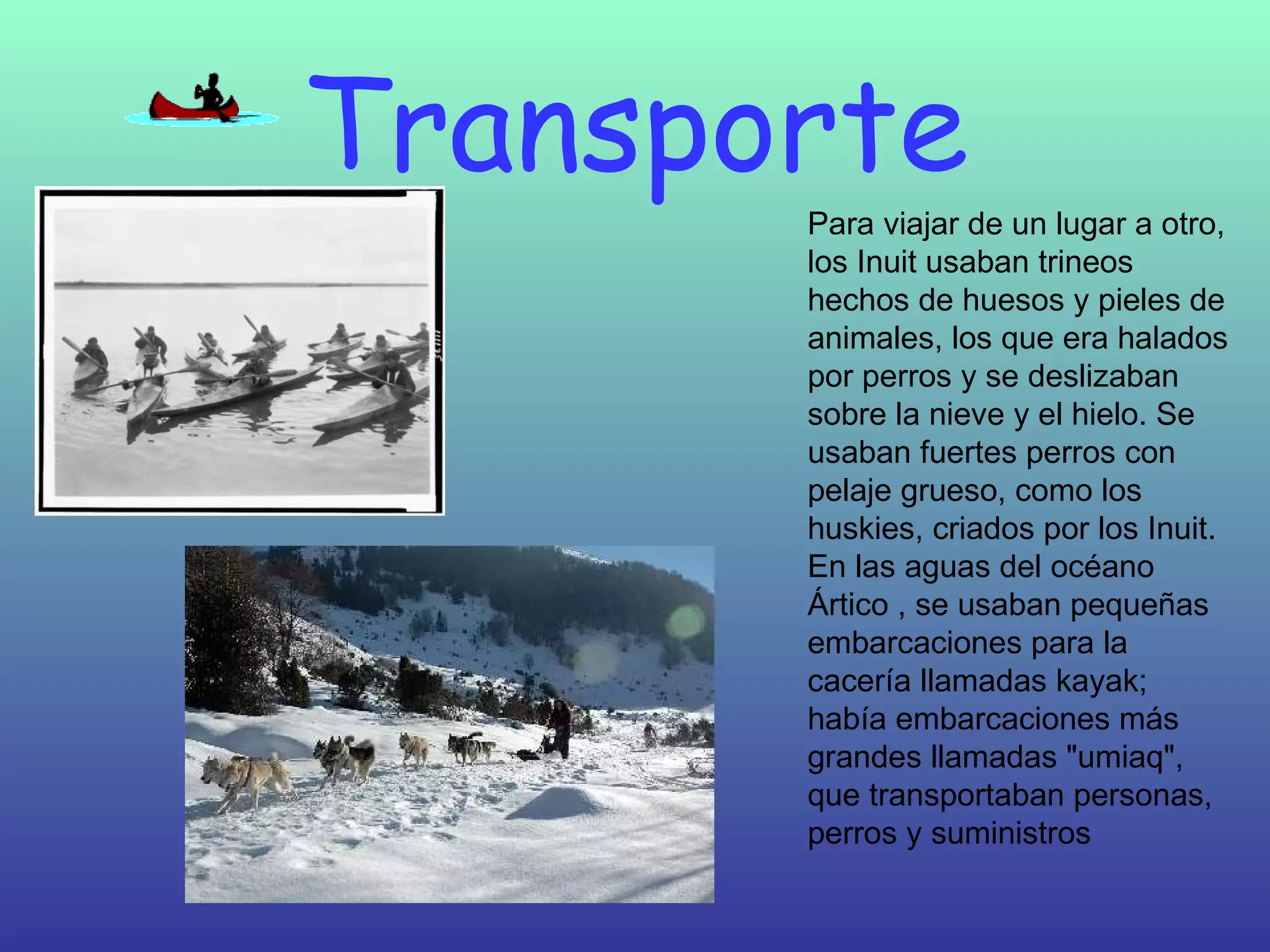 Transporte Para viajar de un lugar a otro, los Inuit usaban trineos hechos de huesos y pieles de animales, los que era halados por perros y se deslizaban sobre la nieve y el hielo. Se usaban fuertes perros con pelaje grueso, como los huskies, criados por los Inuit. En las aguas del océano Ártico , se usaban pequeñas embarcaciones para la cacería llamadas kayak; había embarcaciones más grandes llamadas "umiaq", que transportaban personas, perros y suministros  