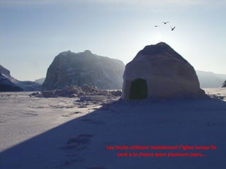 Les inuits utilisent maintenant l’igloo lorsqu’ils sont à la chasse pour plusieurs jours… 