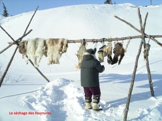 Le séchage des fourrures 
