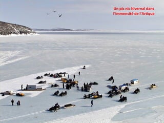 Un pic nic hivernal dans l’immensité de l’Artique 