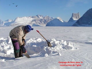 Coupage de blocs pour la construction de l’igloo 