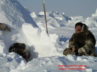 Entrer et sortir d’un igloo est toujours un peu complexe. 