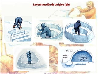 La construcción de un igloo (iglú) 
